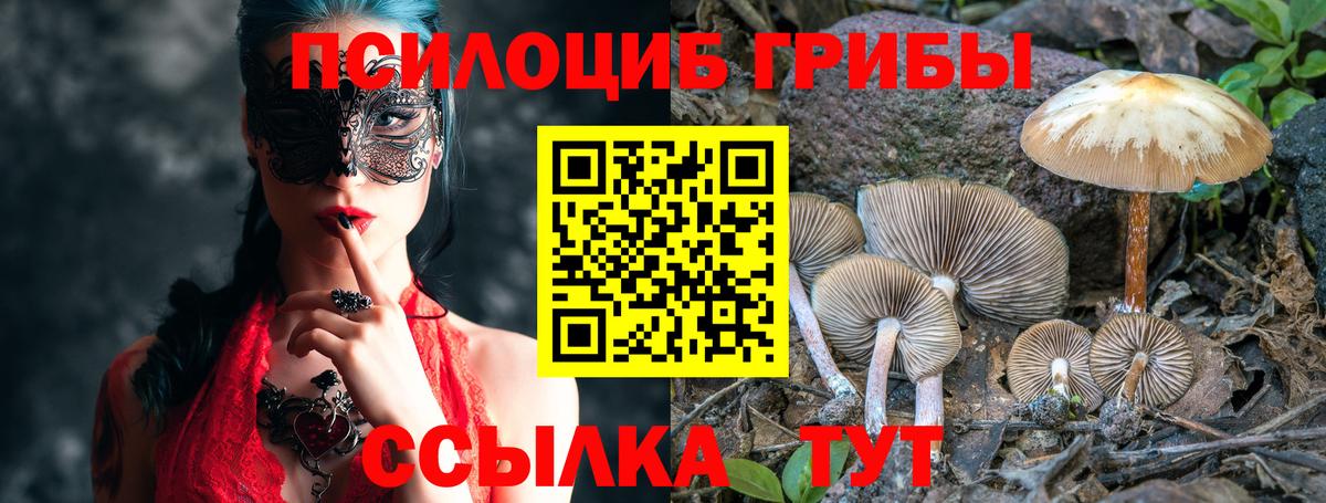 Псилоцибиновые грибы мицелий Северобайкальск