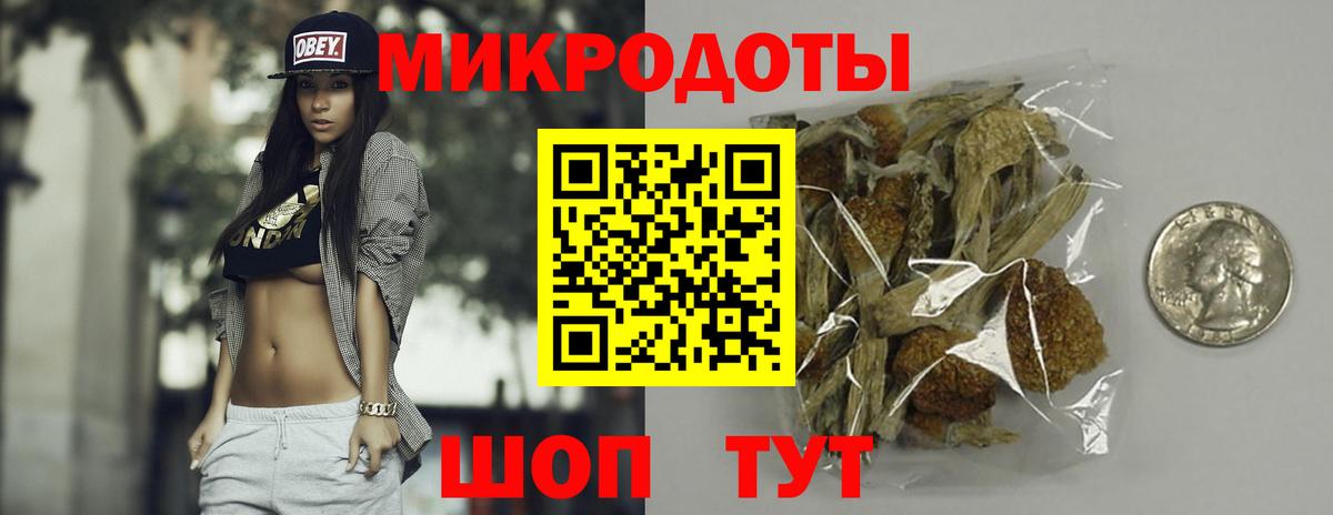 Галлюциногенные грибы MAGIC MUSHROOMS  Вход с VPN  Северобайкальск 